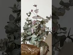 Top-Grain Frosted Cowhide Embroidered Fringe Bag